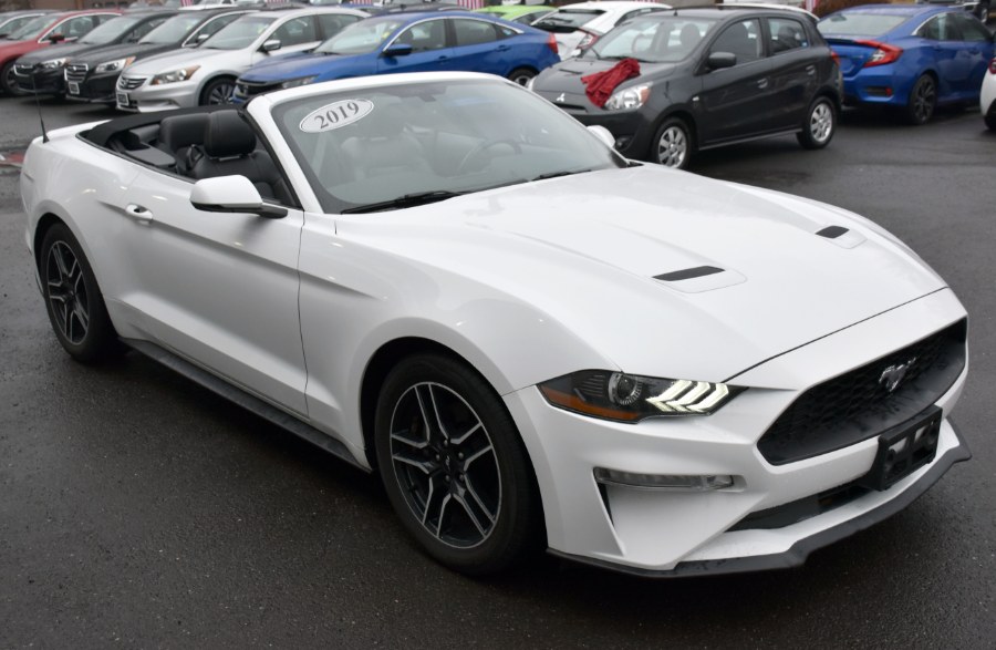 Used Ford Mustang EcoBoost Premium Convertible 2019 | Highline Car Connection. Waterbury, Connecticut Used Ford Mustang EcoBoost Premium Convertible 2019 | Highline Car Connection. Waterbury, Connecticut
