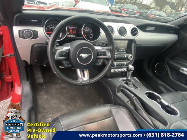Used Ford Mustang 2dr Fastback EcoBoost Premium 2015 | Peak Automotive Inc.. Bayshore, New York Used Ford Mustang 2dr Fastback EcoBoost Premium 2015 | Peak Automotive Inc.. Bayshore, New York
