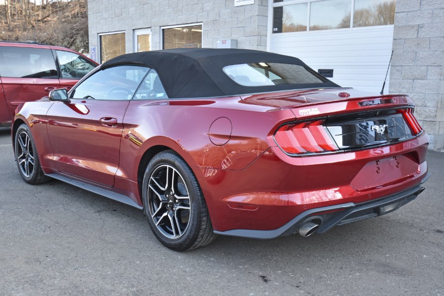 2019 Ford Mustang EcoBoost Convertible, available for sale in Waterbury, Connecticut | Highline Car Connection. Waterbury, Connecticut 2019 Ford Mustang EcoBoost Convertible, available for sale in Waterbury, Connecticut | Highline Car Connection. Waterbury, Connecticut