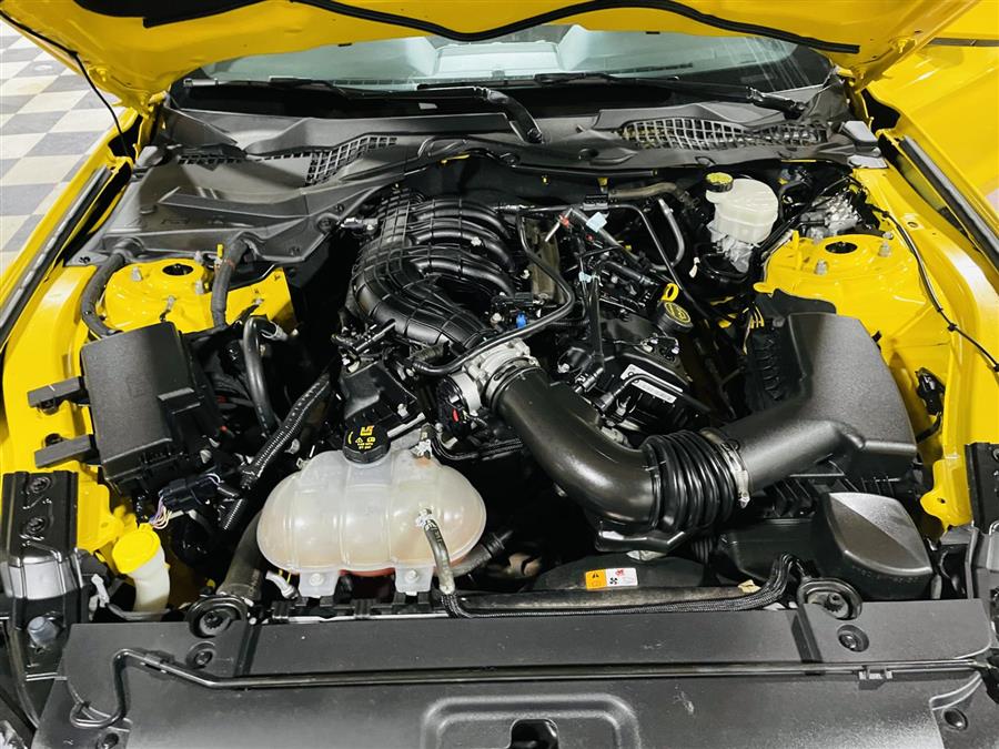 Used Ford Mustang 2dr Fastback V6 2016 | Sunrise Auto Outlet. Amityville, New York Used Ford Mustang 2dr Fastback V6 2016 | Sunrise Auto Outlet. Amityville, New York