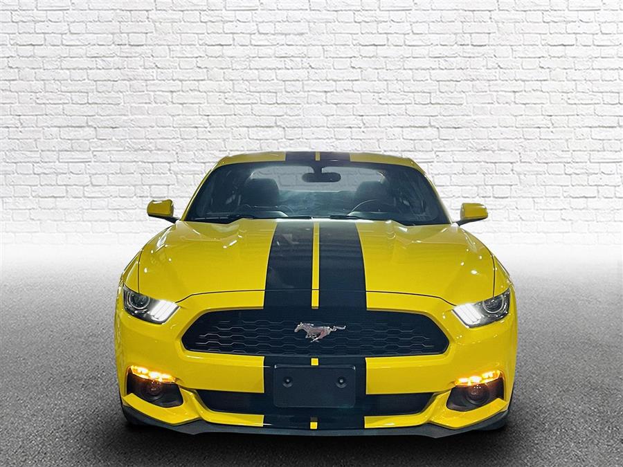 Used Ford Mustang 2dr Fastback V6 2016 | Sunrise Auto Outlet. Amityville, New York Used Ford Mustang 2dr Fastback V6 2016 | Sunrise Auto Outlet. Amityville, New York