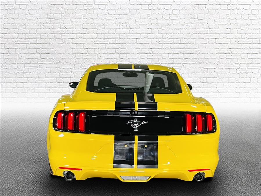 Used Ford Mustang 2dr Fastback V6 2016 | Sunrise Auto Outlet. Amityville, New York Used Ford Mustang 2dr Fastback V6 2016 | Sunrise Auto Outlet. Amityville, New York