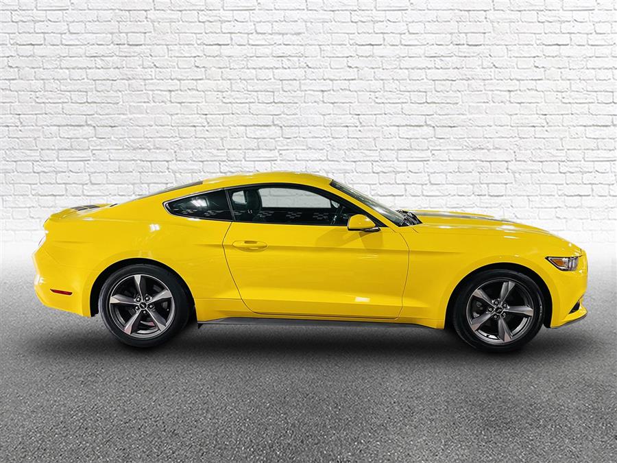 Used Ford Mustang 2dr Fastback V6 2016 | Sunrise Auto Outlet. Amityville, New York Used Ford Mustang 2dr Fastback V6 2016 | Sunrise Auto Outlet. Amityville, New York