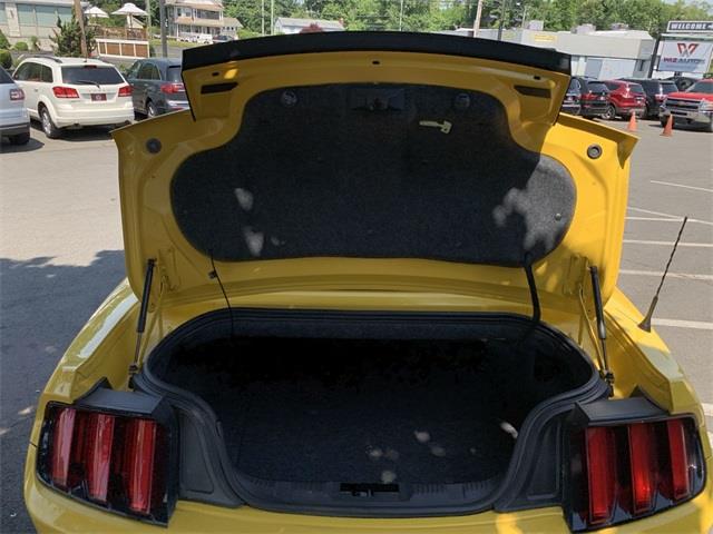 2017 Ford Mustang EcoBoost Premium, available for sale in Stratford, Connecticut | Wiz Leasing Inc. Stratford, Connecticut 2017 Ford Mustang EcoBoost Premium, available for sale in Stratford, Connecticut | Wiz Leasing Inc. Stratford, Connecticut