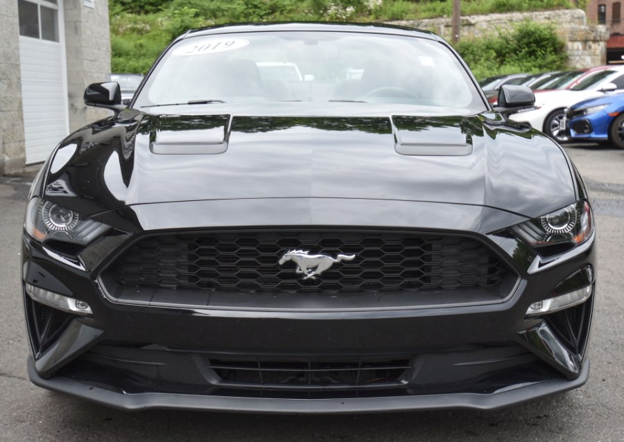 2019 Ford Mustang EcoBoost Premium Fastback, available for sale in Waterbury, Connecticut | Highline Car Connection. Waterbury, Connecticut 2019 Ford Mustang EcoBoost Premium Fastback, available for sale in Waterbury, Connecticut | Highline Car Connection. Waterbury, Connecticut