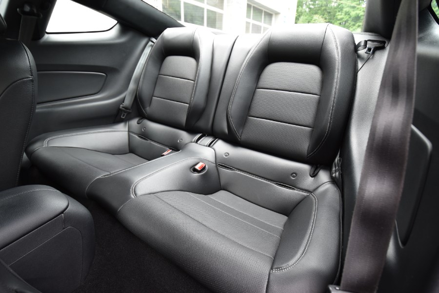2019 Ford Mustang EcoBoost Premium Fastback, available for sale in Waterbury, Connecticut | Highline Car Connection. Waterbury, Connecticut 2019 Ford Mustang EcoBoost Premium Fastback, available for sale in Waterbury, Connecticut | Highline Car Connection. Waterbury, Connecticut