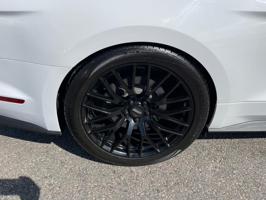 Used Ford Mustang 2dr Fastback GT Premium 2015 | Mike And Tony Auto Sales, Inc. South Windsor, Connecticut Used Ford Mustang 2dr Fastback GT Premium 2015 | Mike And Tony Auto Sales, Inc. South Windsor, Connecticut