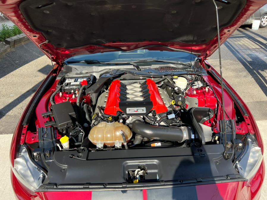 2015 Ford Mustang 2dr Fastback GT Premium, available for sale in Jamaica, New York | Sunrise Autoland. Jamaica, New York 2015 Ford Mustang 2dr Fastback GT Premium, available for sale in Jamaica, New York | Sunrise Autoland. Jamaica, New York