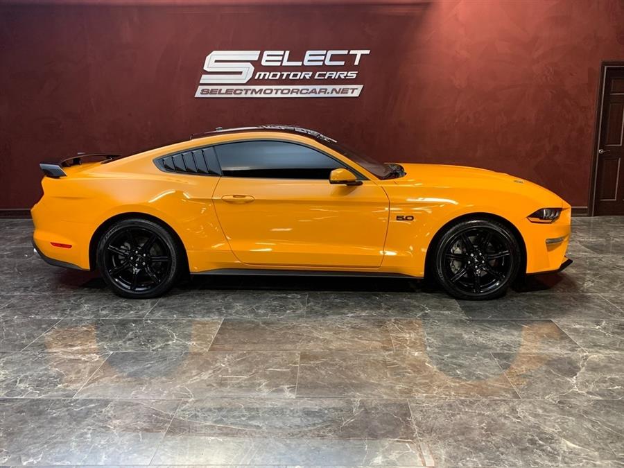 Used Ford Mustang GT Premium 2019 | Select Motor Cars. Deer Park, New York
