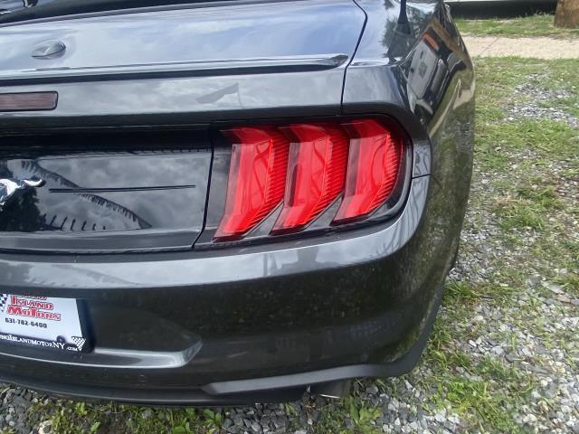Used Ford Mustang EcoBoost Convertible 2020 | Long Island Car Loan. Babylon, New York Used Ford Mustang EcoBoost Convertible 2020 | Long Island Car Loan. Babylon, New York