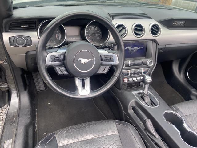 Used Ford Mustang EcoBoost Convertible 2020 | Long Island Car Loan. Babylon, New York Used Ford Mustang EcoBoost Convertible 2020 | Long Island Car Loan. Babylon, New York