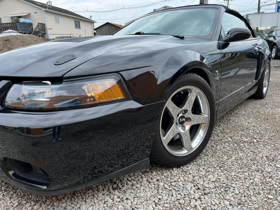 Used Ford Mustang 2dr Conv SVT Cobra 2003 | Route 46 Auto Sales Inc. Lodi, New Jersey Used Ford Mustang 2dr Conv SVT Cobra 2003 | Route 46 Auto Sales Inc. Lodi, New Jersey