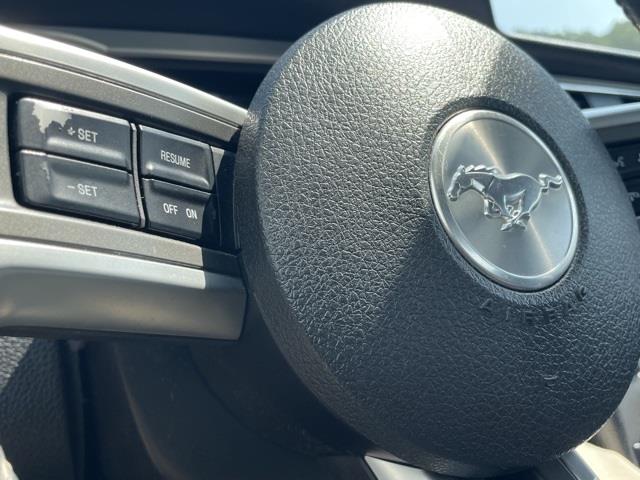 Used Ford Mustang GT 2011 | Blasius Federal Road. Brookfield, Connecticut Used Ford Mustang GT 2011 | Blasius Federal Road. Brookfield, Connecticut