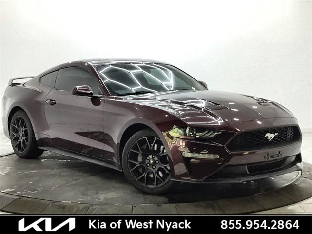 2018 Ford Mustang EcoBoost, available for sale in Bronx, New York | Eastchester Motor Cars. Bronx, New York