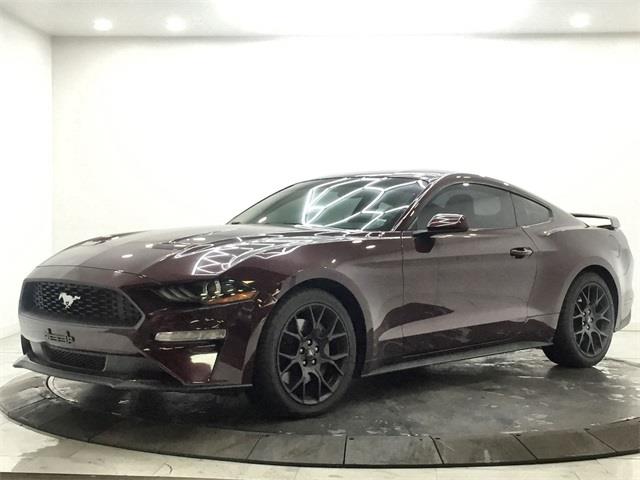 2018 Ford Mustang EcoBoost, available for sale in Bronx, New York | Eastchester Motor Cars. Bronx, New York 2018 Ford Mustang EcoBoost, available for sale in Bronx, New York | Eastchester Motor Cars. Bronx, New York
