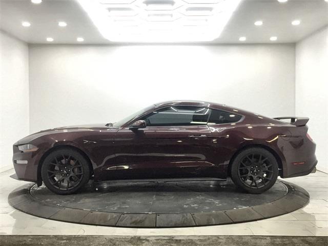 2018 Ford Mustang EcoBoost, available for sale in Bronx, New York | Eastchester Motor Cars. Bronx, New York 2018 Ford Mustang EcoBoost, available for sale in Bronx, New York | Eastchester Motor Cars. Bronx, New York