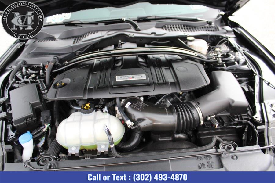 Used Ford Mustang GT Fastback 2021 | Morsi Automotive Corp. New Castle, Delaware Used Ford Mustang GT Fastback 2021 | Morsi Automotive Corp. New Castle, Delaware