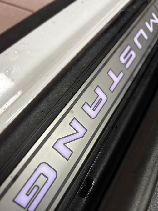 2019 Ford Mustang EcoBoost Premium Fastback, available for sale in Massapequa Park, New York | Power Motors East. Massapequa Park, New York 2019 Ford Mustang EcoBoost Premium Fastback, available for sale in Massapequa Park, New York | Power Motors East. Massapequa Park, New York