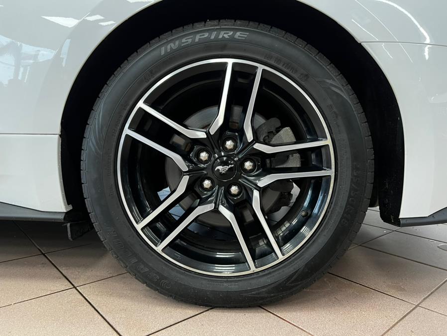 2019 Ford Mustang EcoBoost Premium Fastback, available for sale in Massapequa Park, New York | Power Motors East. Massapequa Park, New York 2019 Ford Mustang EcoBoost Premium Fastback, available for sale in Massapequa Park, New York | Power Motors East. Massapequa Park, New York