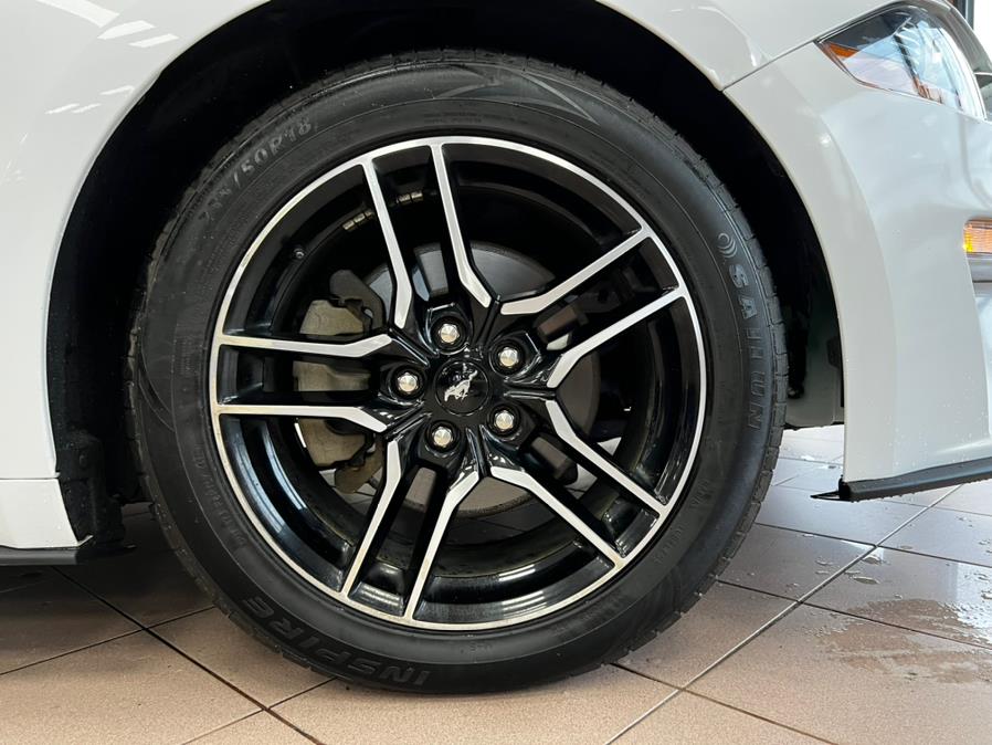 2019 Ford Mustang EcoBoost Premium Fastback, available for sale in Massapequa Park, New York | Power Motors East. Massapequa Park, New York 2019 Ford Mustang EcoBoost Premium Fastback, available for sale in Massapequa Park, New York | Power Motors East. Massapequa Park, New York