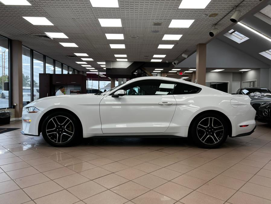 2019 Ford Mustang EcoBoost Premium Fastback, available for sale in Massapequa Park, New York | Power Motors East. Massapequa Park, New York 2019 Ford Mustang EcoBoost Premium Fastback, available for sale in Massapequa Park, New York | Power Motors East. Massapequa Park, New York