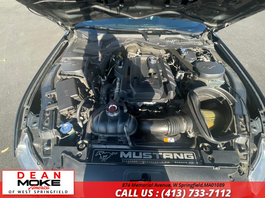 Used Ford Mustang 2dr Fastback EcoBoost 2015 | Dean Moke America of West Springfield. W Springfield, Massachusetts Used Ford Mustang 2dr Fastback EcoBoost 2015 | Dean Moke America of West Springfield. W Springfield, Massachusetts