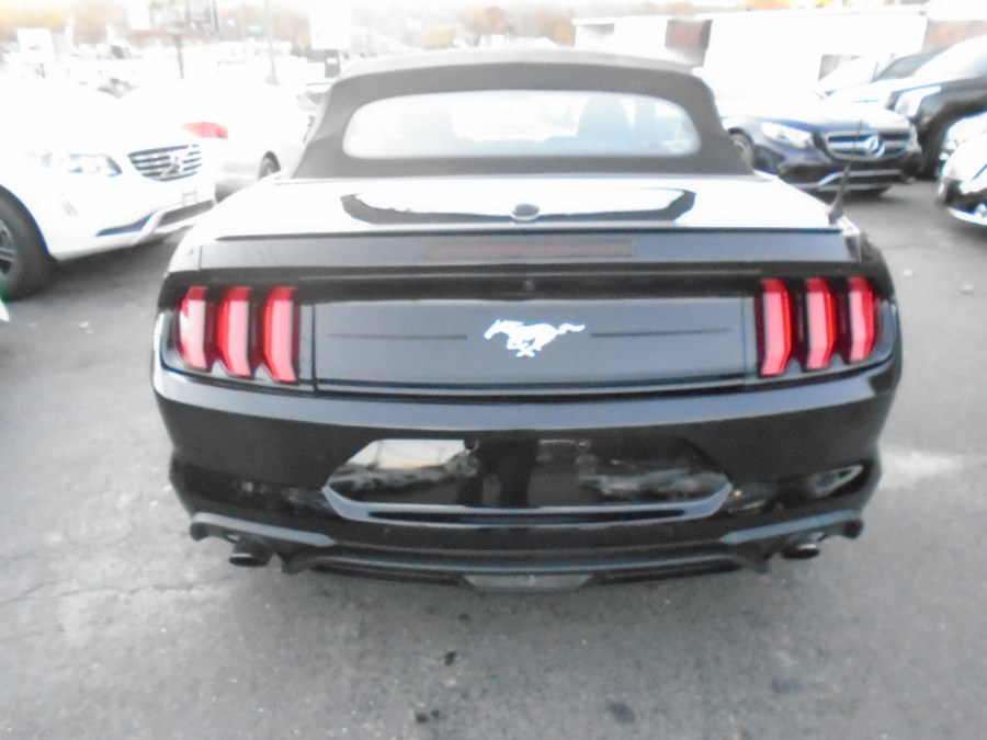 2021 Ford Mustang convertible premium, available for sale in Waterbury, Connecticut | Jim Juliani Motors. Waterbury, Connecticut