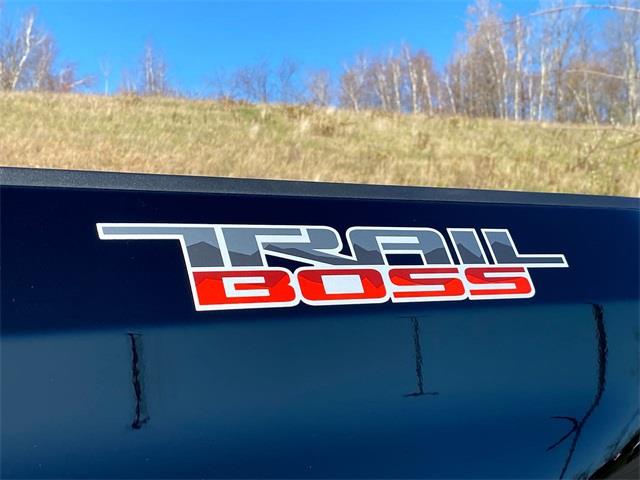 Used Chevrolet Silverado 1500 Custom Trail Boss 2021 | Sullivan Automotive Group. Avon, Connecticut