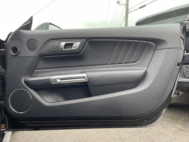 Used Ford Mustang GT Premium 2019 | Blasius Federal Road. Brookfield, Connecticut Used Ford Mustang GT Premium 2019 | Blasius Federal Road. Brookfield, Connecticut