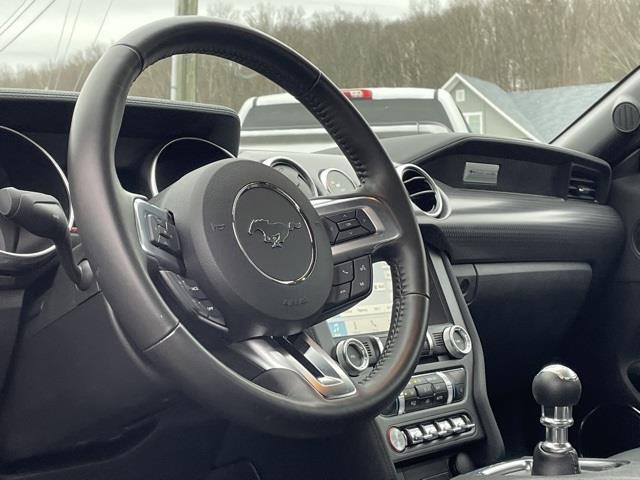 Used Ford Mustang GT Premium 2019 | Blasius Federal Road. Brookfield, Connecticut Used Ford Mustang GT Premium 2019 | Blasius Federal Road. Brookfield, Connecticut