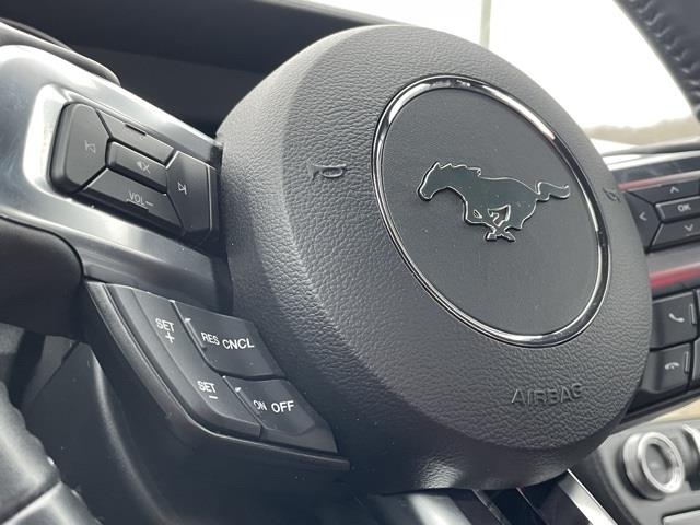 Used Ford Mustang GT Premium 2019 | Blasius Federal Road. Brookfield, Connecticut Used Ford Mustang GT Premium 2019 | Blasius Federal Road. Brookfield, Connecticut