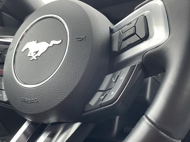 Used Ford Mustang GT Premium 2019 | Blasius Federal Road. Brookfield, Connecticut Used Ford Mustang GT Premium 2019 | Blasius Federal Road. Brookfield, Connecticut