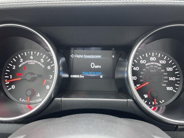 Used Ford Mustang GT Premium 2019 | Blasius Federal Road. Brookfield, Connecticut Used Ford Mustang GT Premium 2019 | Blasius Federal Road. Brookfield, Connecticut