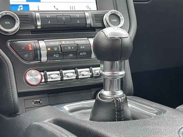 Used Ford Mustang GT Premium 2019 | Blasius Federal Road. Brookfield, Connecticut Used Ford Mustang GT Premium 2019 | Blasius Federal Road. Brookfield, Connecticut