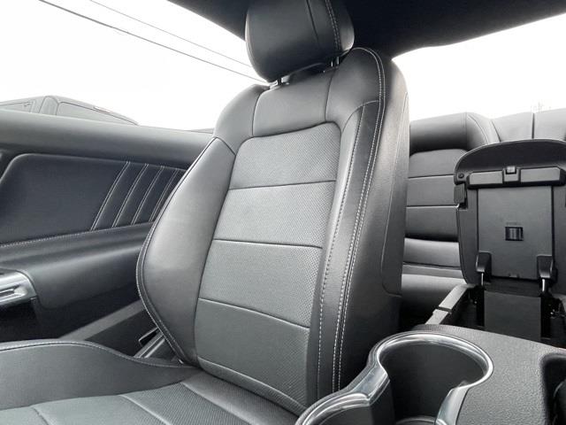 Used Ford Mustang GT Premium 2019 | Blasius Federal Road. Brookfield, Connecticut Used Ford Mustang GT Premium 2019 | Blasius Federal Road. Brookfield, Connecticut