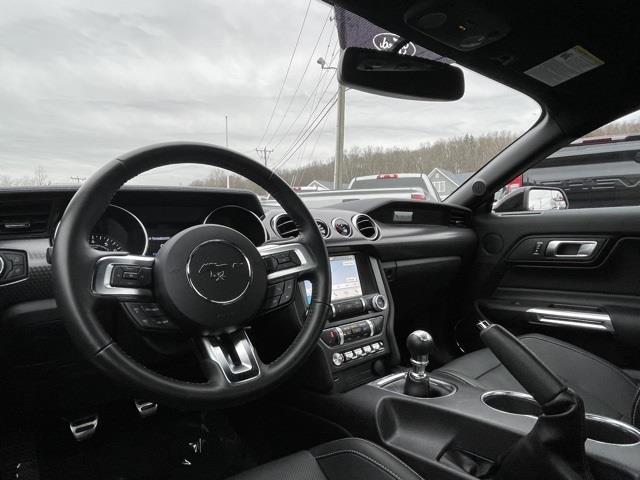 Used Ford Mustang GT Premium 2019 | Blasius Federal Road. Brookfield, Connecticut Used Ford Mustang GT Premium 2019 | Blasius Federal Road. Brookfield, Connecticut
