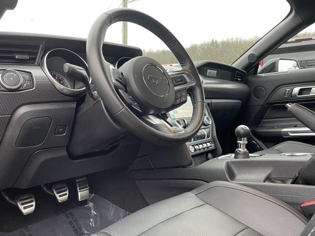 Used Ford Mustang GT Premium 2019 | Blasius Federal Road. Brookfield, Connecticut Used Ford Mustang GT Premium 2019 | Blasius Federal Road. Brookfield, Connecticut