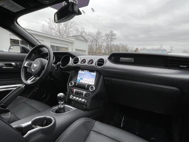 Used Ford Mustang GT Premium 2019 | Blasius Federal Road. Brookfield, Connecticut Used Ford Mustang GT Premium 2019 | Blasius Federal Road. Brookfield, Connecticut