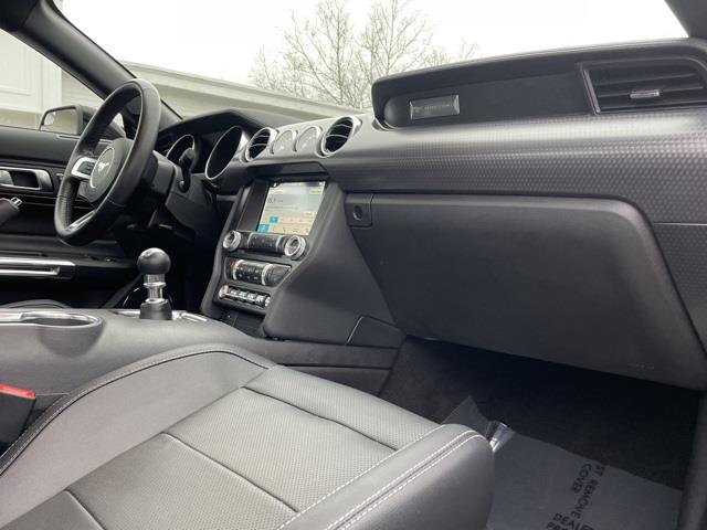 Used Ford Mustang GT Premium 2019 | Blasius Federal Road. Brookfield, Connecticut Used Ford Mustang GT Premium 2019 | Blasius Federal Road. Brookfield, Connecticut