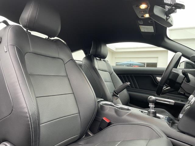 Used Ford Mustang GT Premium 2019 | Blasius Federal Road. Brookfield, Connecticut Used Ford Mustang GT Premium 2019 | Blasius Federal Road. Brookfield, Connecticut