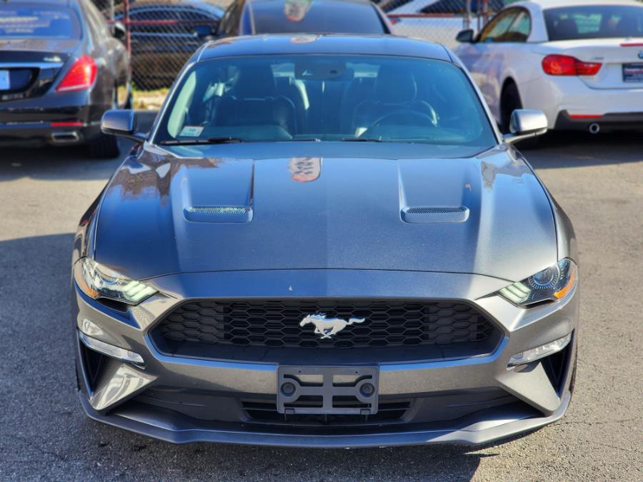 2020 Ford Mustang EcoBoost Premium Fastback, available for sale in Newark, New Jersey | Champion Auto Sales. Newark, New Jersey 2020 Ford Mustang EcoBoost Premium Fastback, available for sale in Newark, New Jersey | Champion Auto Sales. Newark, New Jersey