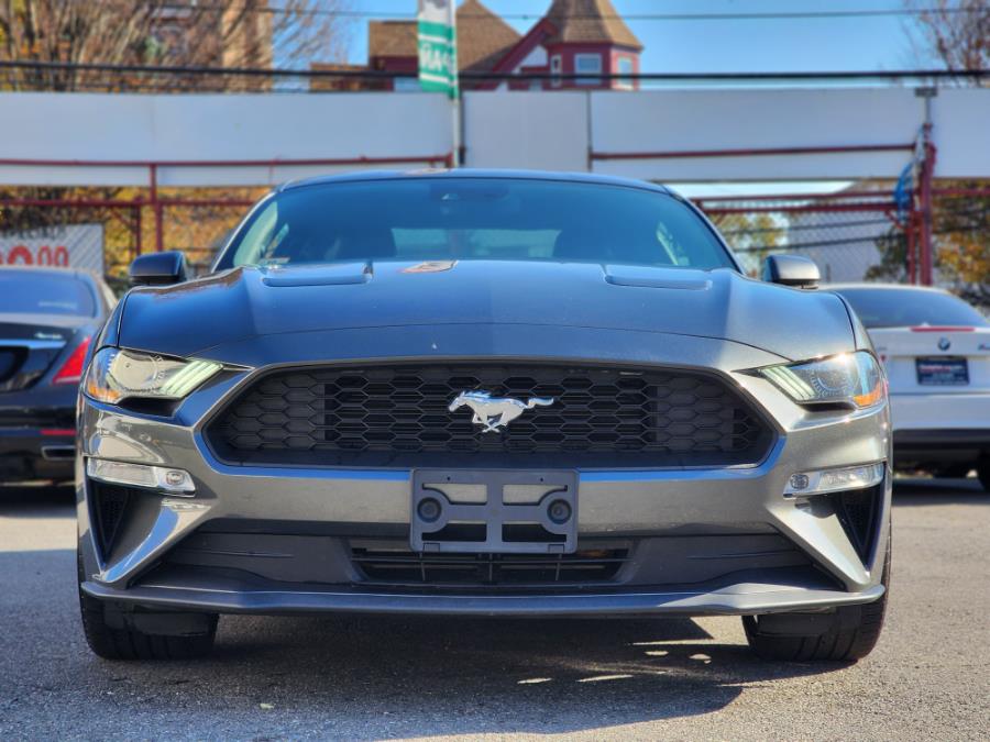 2020 Ford Mustang EcoBoost Premium Fastback, available for sale in Newark, New Jersey | Champion Auto Sales. Newark, New Jersey 2020 Ford Mustang EcoBoost Premium Fastback, available for sale in Newark, New Jersey | Champion Auto Sales. Newark, New Jersey