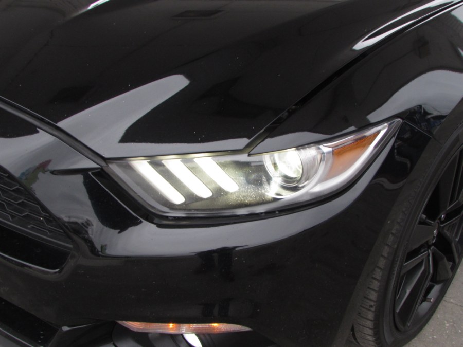 2016 Ford Mustang 2dr Fastback EcoBoost, available for sale in Orlando, Florida | VIP Auto Enterprise, Inc. Orlando, Florida 2016 Ford Mustang 2dr Fastback EcoBoost, available for sale in Orlando, Florida | VIP Auto Enterprise, Inc. Orlando, Florida