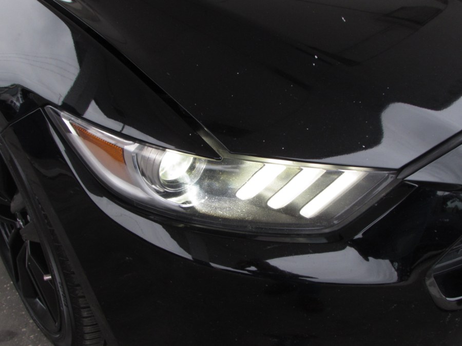 2016 Ford Mustang 2dr Fastback EcoBoost, available for sale in Orlando, Florida | VIP Auto Enterprise, Inc. Orlando, Florida 2016 Ford Mustang 2dr Fastback EcoBoost, available for sale in Orlando, Florida | VIP Auto Enterprise, Inc. Orlando, Florida