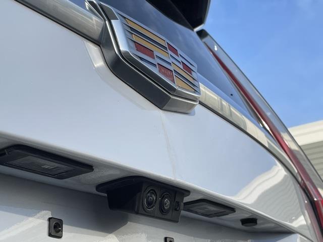 2019 Cadillac Escalade Platinum Edition, available for sale in Brookfield, Connecticut | Blasius Federal Road. Brookfield, Connecticut 2019 Cadillac Escalade Platinum Edition, available for sale in Brookfield, Connecticut | Blasius Federal Road. Brookfield, Connecticut