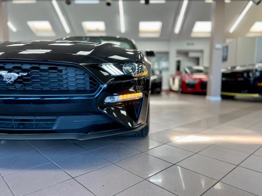 2020 Ford Mustang EcoBoost Premium Convertible, available for sale in Massapequa Park, New York | Power Motors East. Massapequa Park, New York 2020 Ford Mustang EcoBoost Premium Convertible, available for sale in Massapequa Park, New York | Power Motors East. Massapequa Park, New York