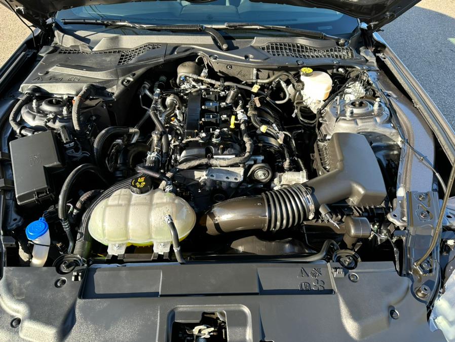 2021 Ford Mustang EcoBoost Fastback, available for sale in South Windsor, Connecticut | Mike And Tony Auto Sales, Inc. South Windsor, Connecticut 2021 Ford Mustang EcoBoost Fastback, available for sale in South Windsor, Connecticut | Mike And Tony Auto Sales, Inc. South Windsor, Connecticut