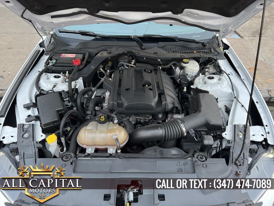 2019 Ford Mustang EcoBoost Fastback, available for sale in Brooklyn, New York | All Capital Motors. Brooklyn, New York 2019 Ford Mustang EcoBoost Fastback, available for sale in Brooklyn, New York | All Capital Motors. Brooklyn, New York