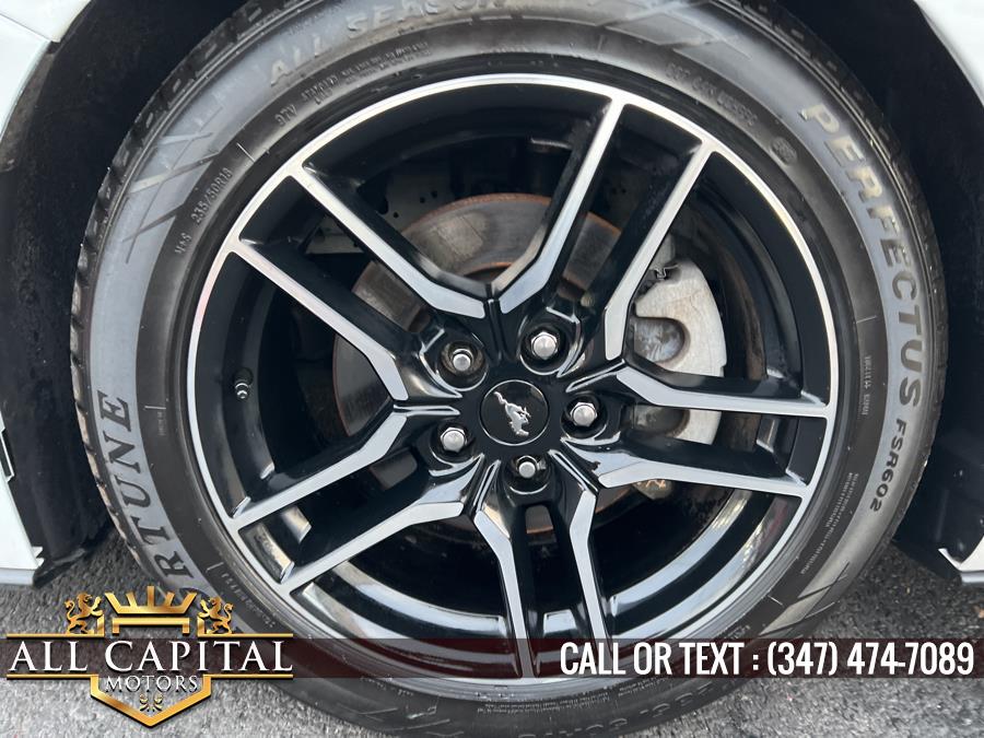 2019 Ford Mustang EcoBoost Fastback, available for sale in Brooklyn, New York | All Capital Motors. Brooklyn, New York 2019 Ford Mustang EcoBoost Fastback, available for sale in Brooklyn, New York | All Capital Motors. Brooklyn, New York