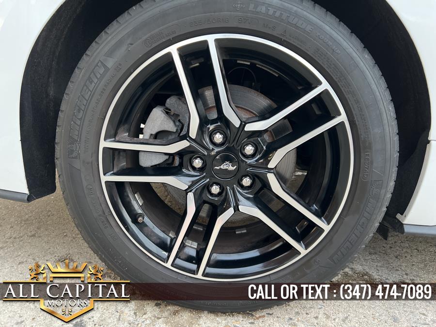 2019 Ford Mustang EcoBoost Fastback, available for sale in Brooklyn, New York | All Capital Motors. Brooklyn, New York 2019 Ford Mustang EcoBoost Fastback, available for sale in Brooklyn, New York | All Capital Motors. Brooklyn, New York